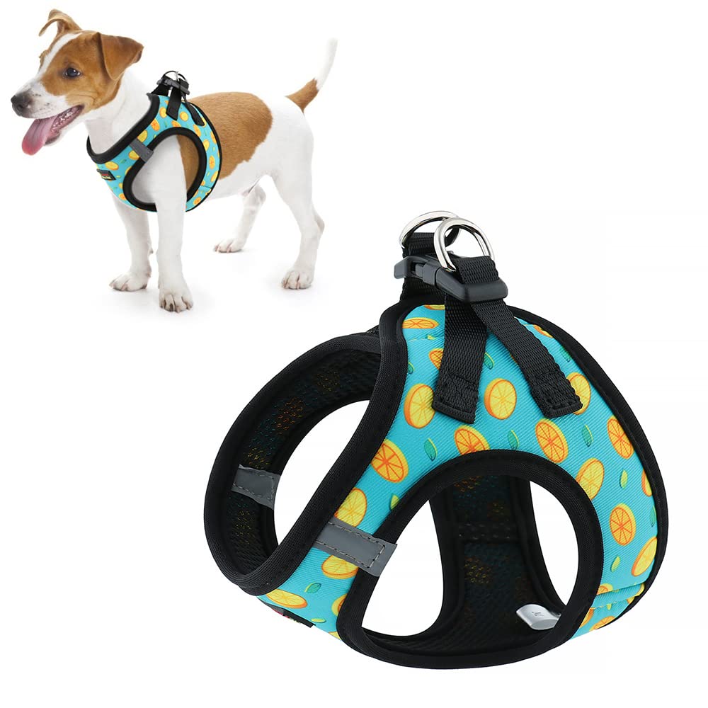 Step-In Padded Dog Harness — No-Struggle Clip & Go Design